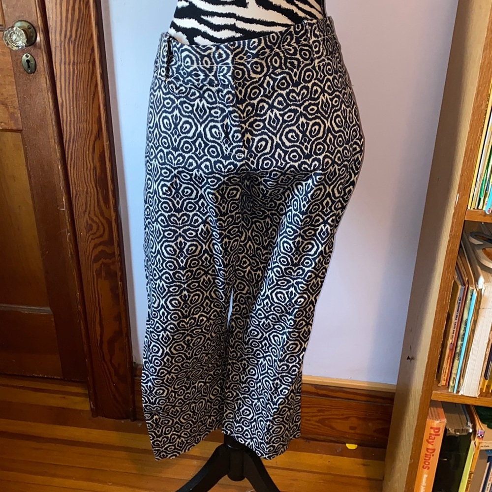 J. Crew city fit stretch size 6 blue and white capris